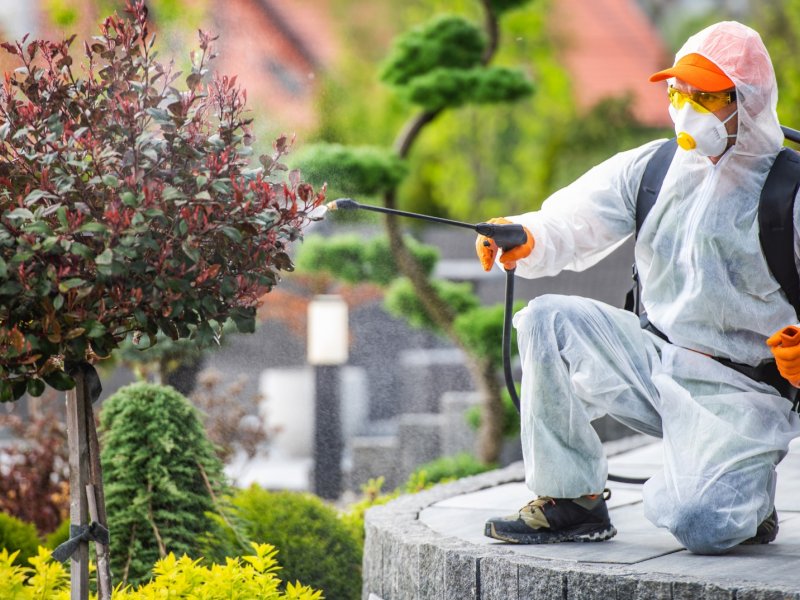 Konyaaltı Haşere İlaçlama